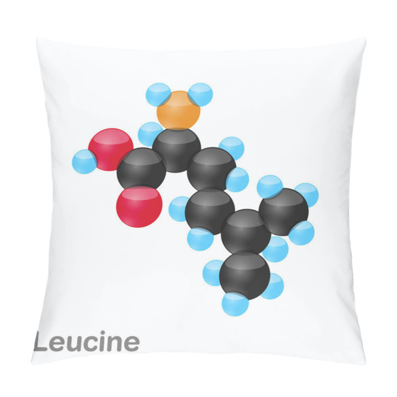 Personality  Molecule Of Leucine, Leu, An Amino Acid Used In The Biosynthesis Of Proteins Pillow Covers