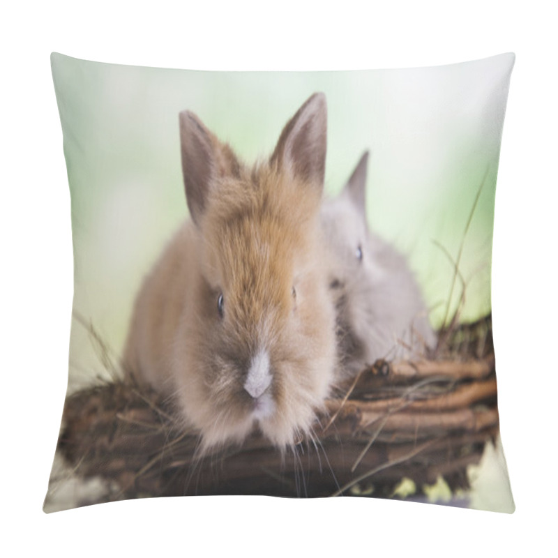 Personality  Bunnies Relaxing In Nest Pillow Covers