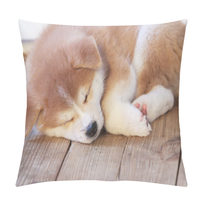 Personality  Japanese Akita-inu Breed Sleeping Puppy Pillow Covers