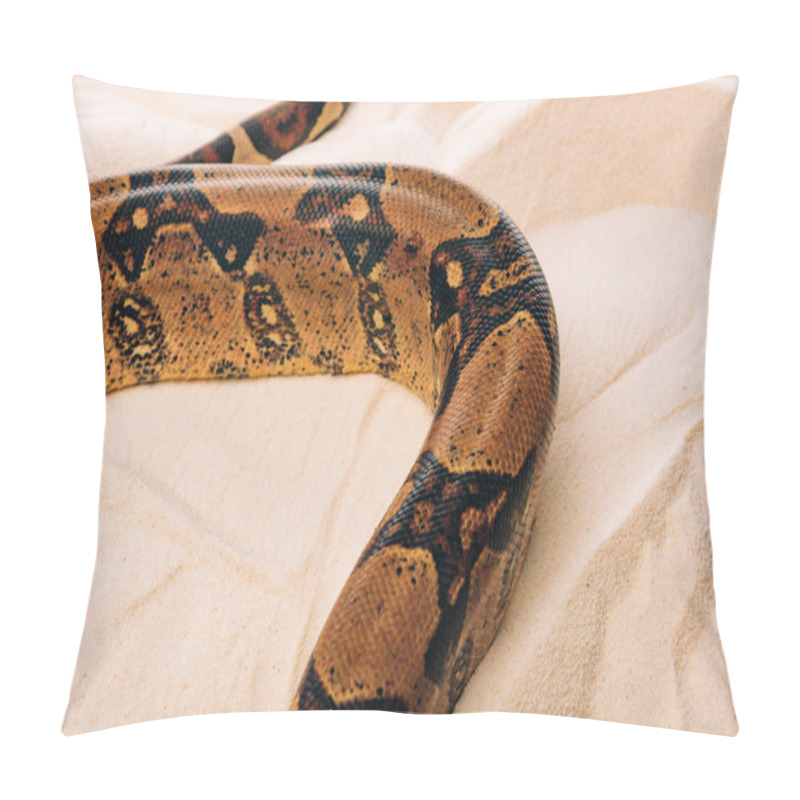 Personality  High Angle View Of Python On Textured Sand  Pillow Covers