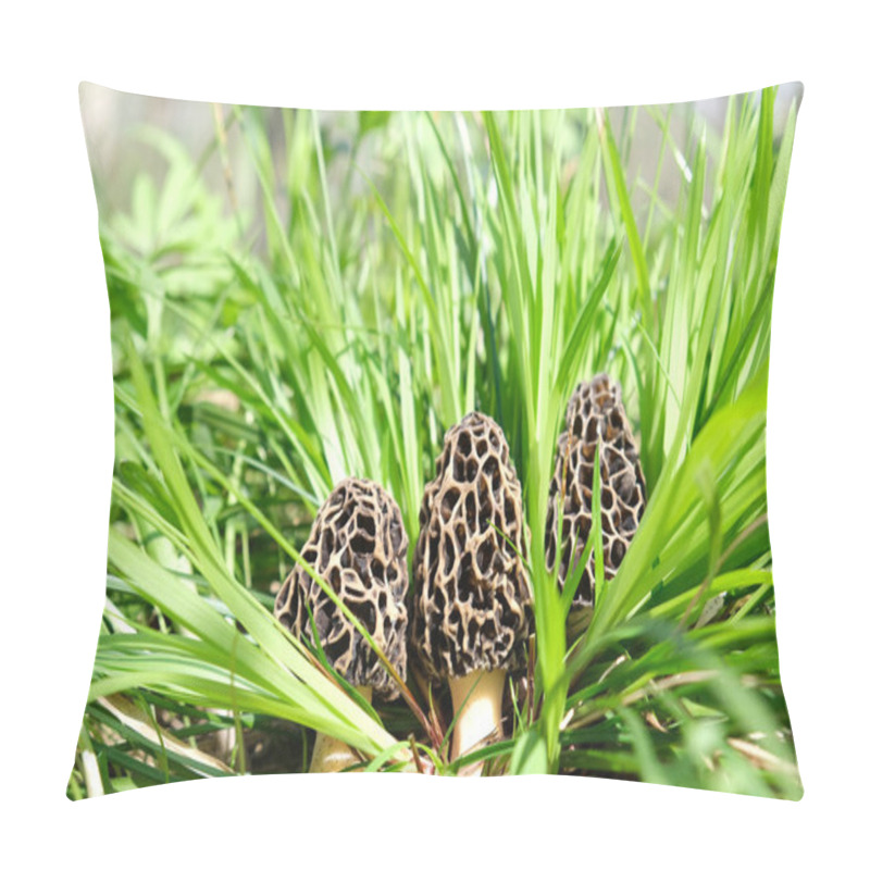 Personality  Three Morchella Mushrooms Grow Among Tall, Bright, Juicy, Young, Green Grass, In A Spring Forest, On A Sunny Day. Pillow Covers