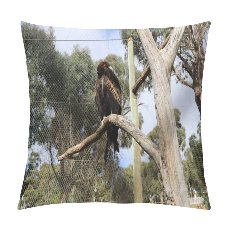 Personality  Wedge-tailed Eagle (Aquila Audax) Perched On A Dead Tree. Pillow Covers