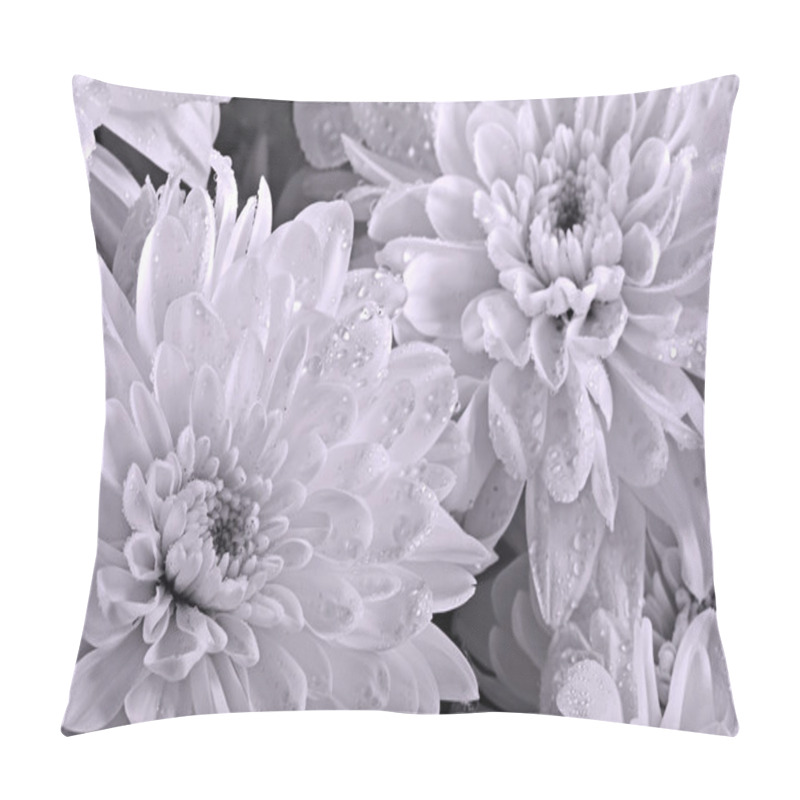 Personality  Chrysanthemums Close Up Pillow Covers