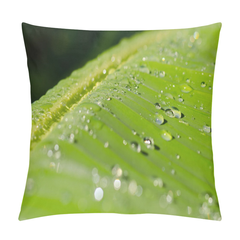 Personality  Banana Leaf And Raindrop Pillow Covers