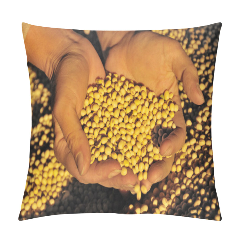 Personality  Soy Harvest Pillow Covers