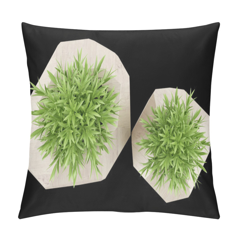 Personality  Top View Of Two Houseplants In Wooden Pots Isolated On Black Bac Pillow Covers