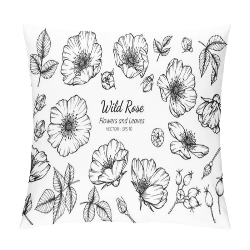 Personality  Collection Set Of Wild Rose Flower And Leaves Drawing Illustrati Pillow Covers