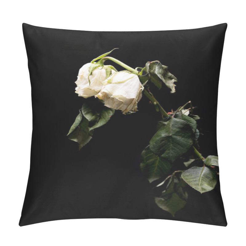 Personality  Wilted White Roses Isolated On Black Pillow Covers