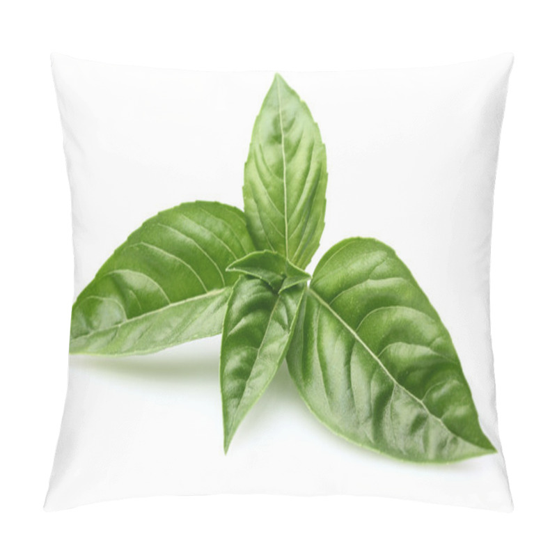 Personality  Basil Leaves Pillow Covers