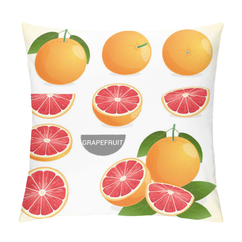 Personality  Set Of Grapefruit With Leaf In Various Styles Vector Format Pillow Covers