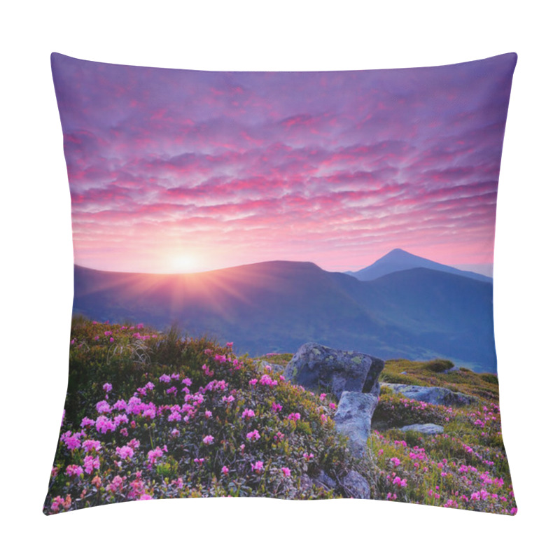 Personality  Pink Flowers In The Mountains Pillow Covers