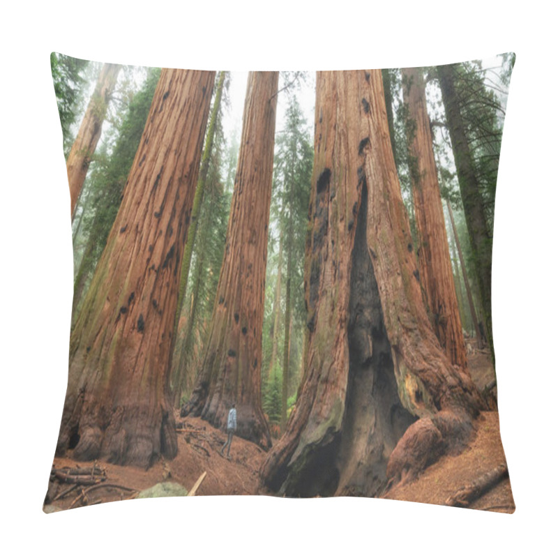 Personality  Hiker Is Walking And Looking At The Giant Sequoia Trees In Sequoia National Park, California, USA Pillow Covers