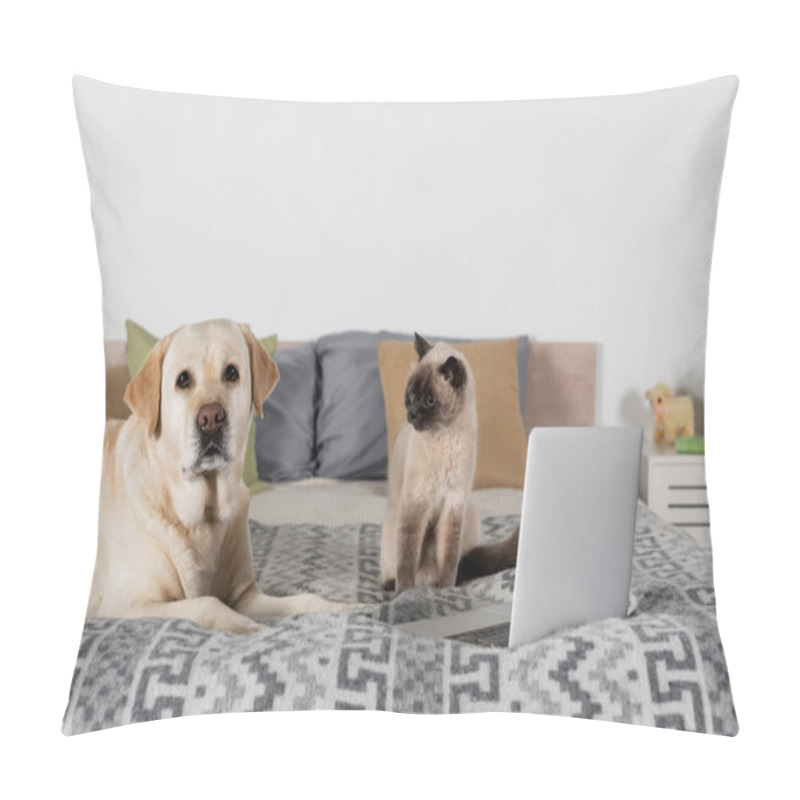 Personality  Cat And Labrador Dog Near Laptop And Blurred Pillows On Bed Pillow Covers