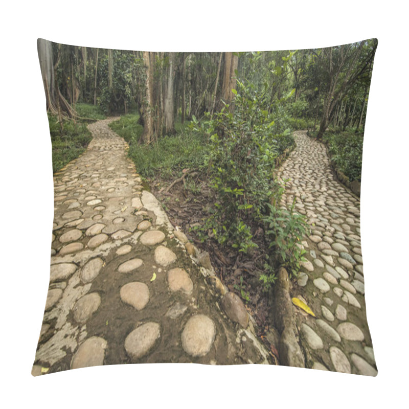 Personality  Diverging Paths Pillow Covers