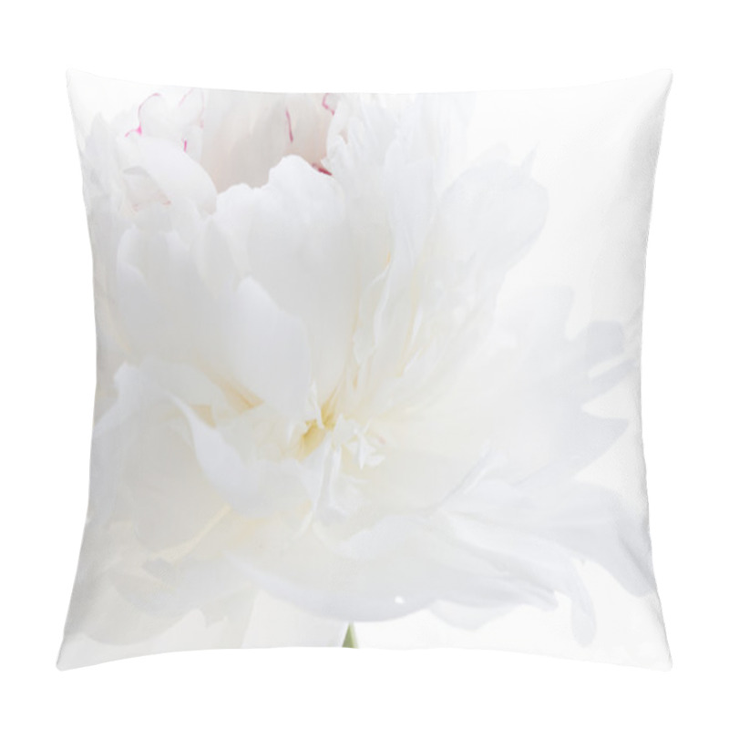 Personality  White Peony Pillow Covers