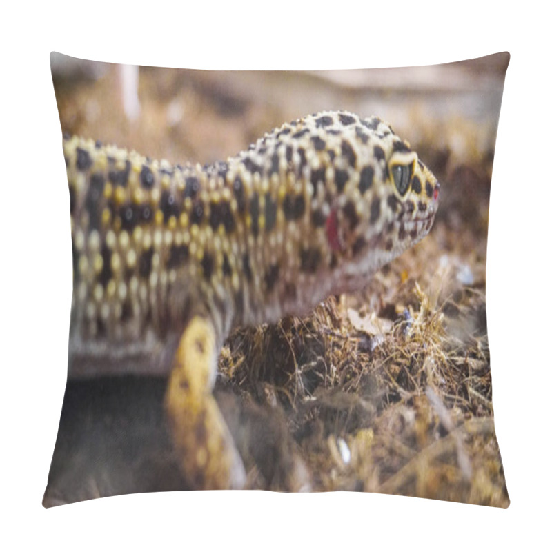 Personality  Close-up Of A Leopard Gecko, A Popular Exotic Pet With Vibrant, Spotted Skin, Scales, And Unique Colors. This Nocturnal Reptile Thrives In Desert Habitats, Showcasing Natural Camouflage And Predator Instincts. Pillow Covers