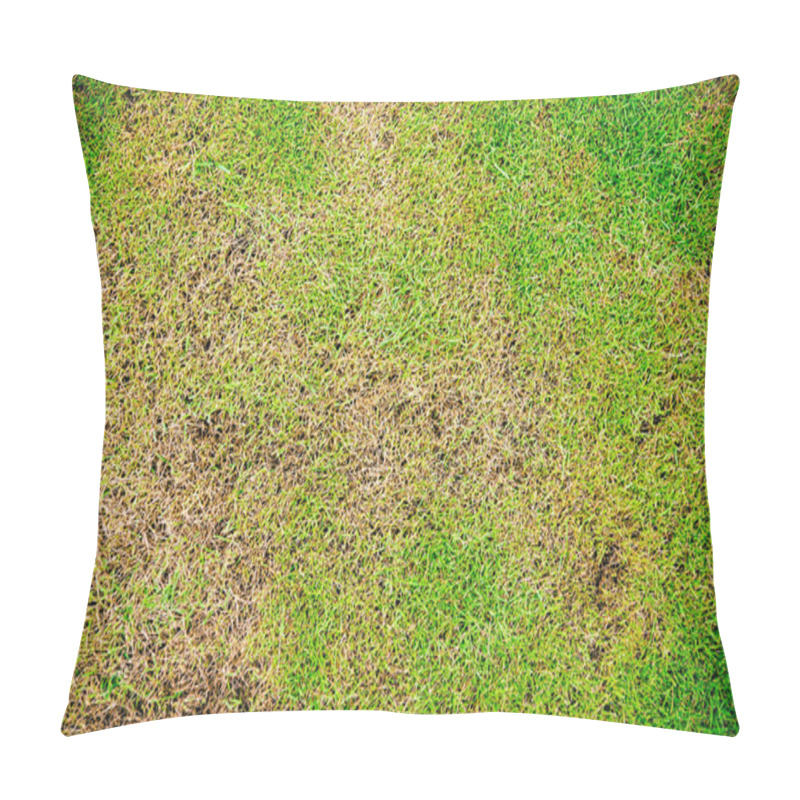 Personality  Green And Yellow Grass Texture Brown Patch Is Caused By The Destruction Of Fungus Rhizoctonia Solani Grass Leaf Change From Green To Dead Brown In A Circle Lawn Texture Background Dead Grass Texture Pillow Covers