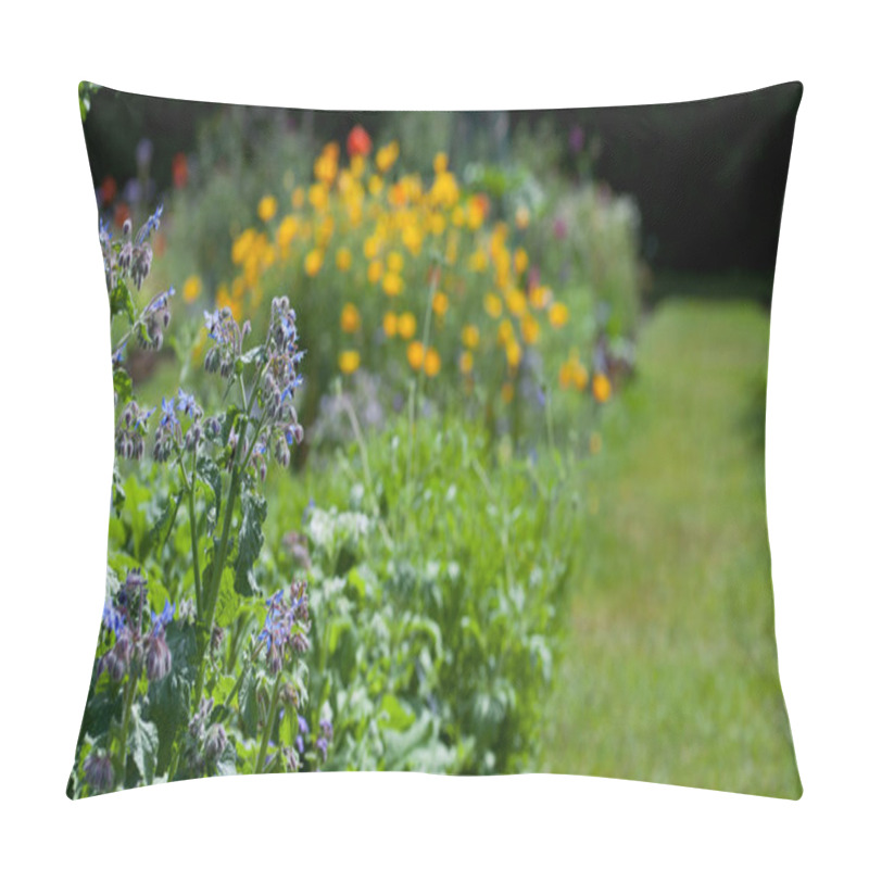 Personality  Herbal And Medicinal Plants  In The Country Style Wild Garden. Many Beutiful Plants Like Poppy, Borage, Chamomile And Corn Flower. Pillow Covers