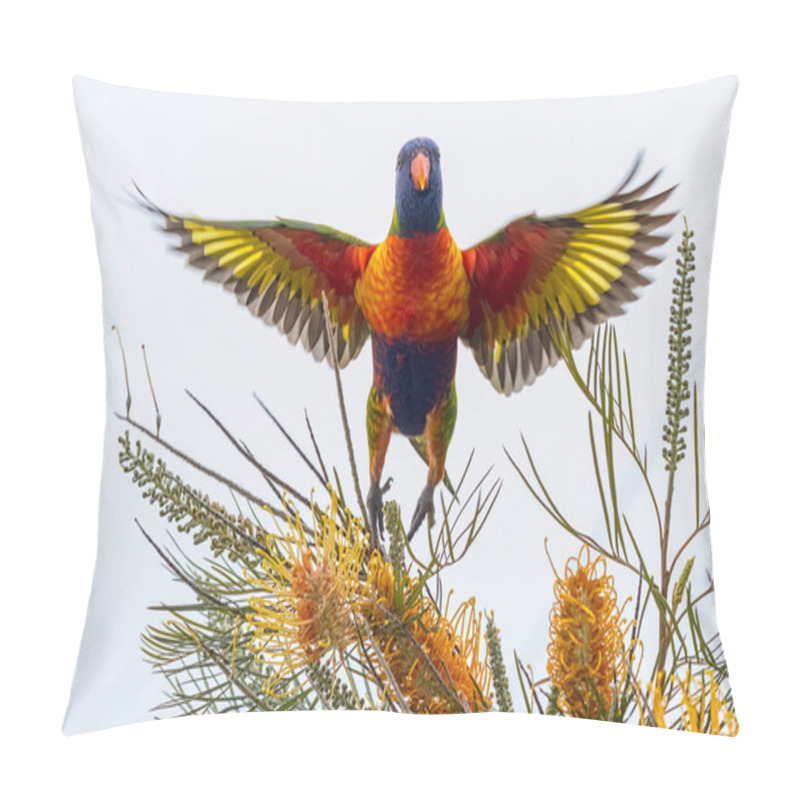 Personality  Rainbow Lorikeet Taking Off With Wingspan Pillow Covers