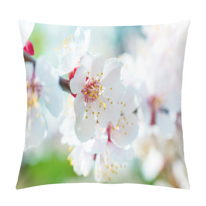 Personality  Spring Blossoming White Spring Flowers Pillow Covers