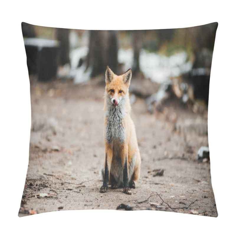 Personality  A Red Fox In An Autumn Forest Covered With A Small Layer Of Snow Pillow Covers