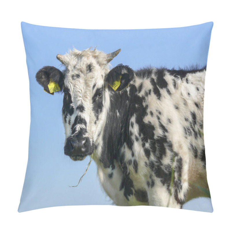 Personality  Young Grass Eating Cow White Black Speckled, With Horns  Pillow Covers