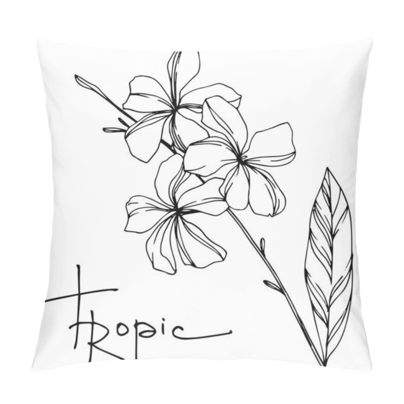 Personality  Vector Palm Beach Tree Leaves. Black And White Engraved Ink Art. Isolated Leaves Illustration Element. Pillow Covers