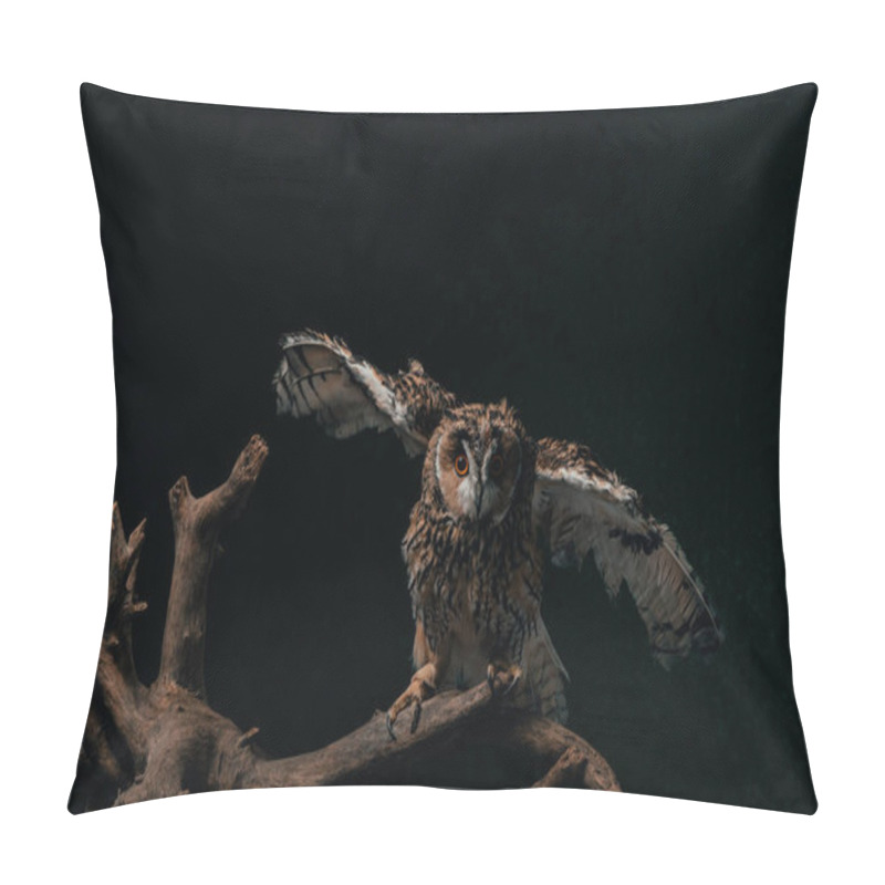 Personality  Wild Owl Flying Off In Dark On Wooden Branch Isolated On Black Pillow Covers