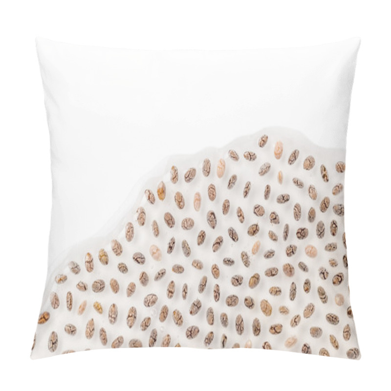 Personality  Mucilaginous Gel-like Coating Around Chia Seeds Pillow Covers