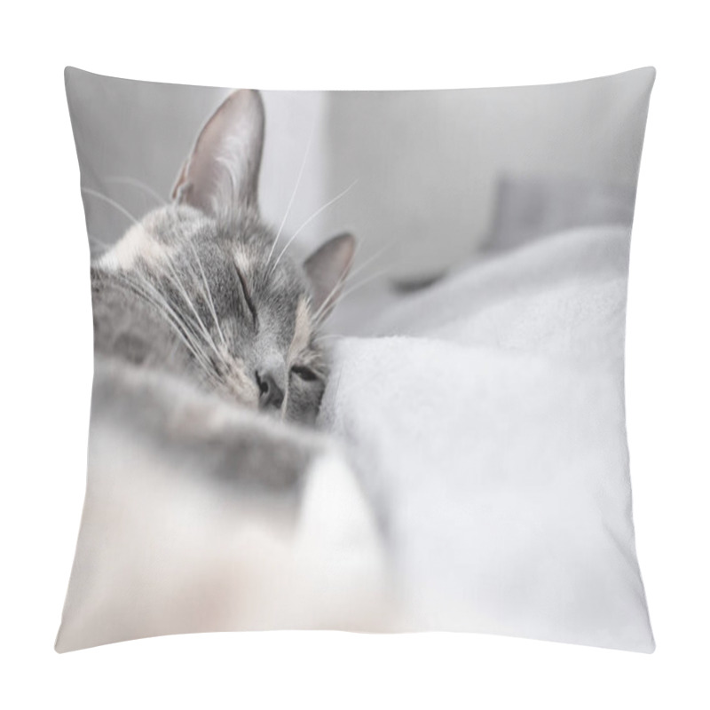 Personality  Young, Cute Cat Sleeps On A Soft, Warm Plaid. Close-up. Pillow Covers