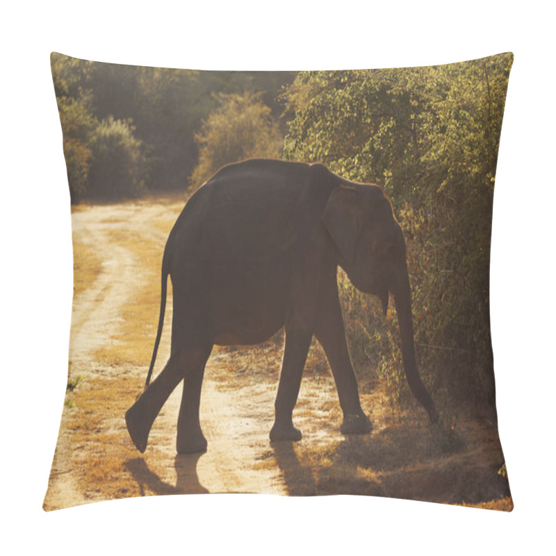 Personality  A Majestic Elephant Walks Along A Jungle Path, Illuminated By Warm Golden Sunlight In Udawalawe National Park, Sri Lanka. This Serene Wildlife Scene Is Perfect For Safari, Nature, And Conservation Pillow Covers