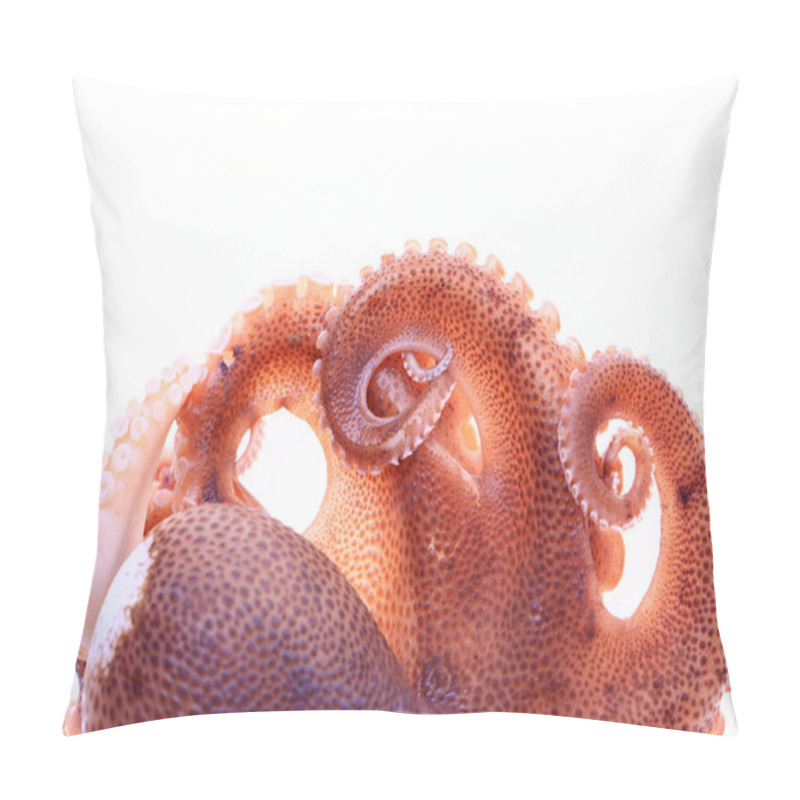 Personality  Octopus On A White Background Pillow Covers