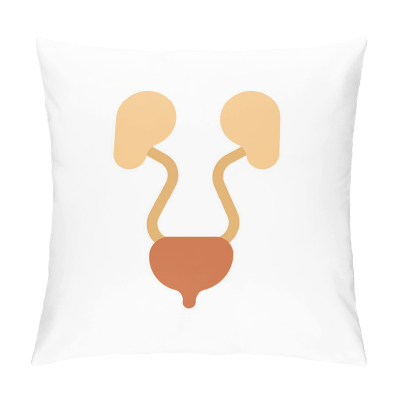 Personality  Kidney And Bladder Isolated. Internal Organs Human Anatomy. Vector Illustratio Pillow Covers