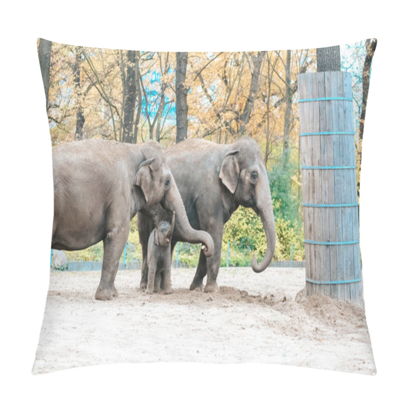 Personality  Elephants Family In A Zoo. Mother And Calf Are Walking In The National Park. Wildlife Concept. African Elephant Baby Elephant Protected By Adults In A Herd. Pillow Covers