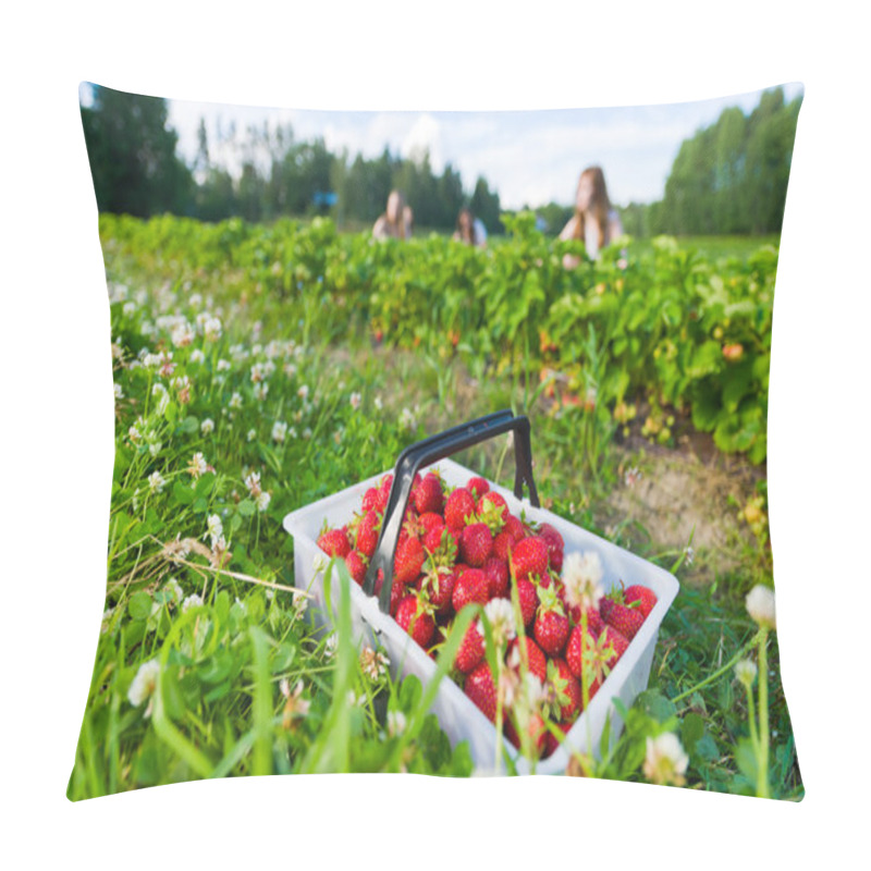 Personality  Strawberry Field Pillow Covers