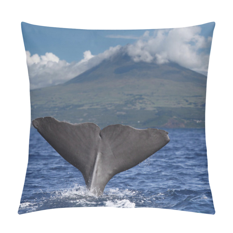 Personality  Big Fin Of A Sperm Whale In Front Of Volcano Pico, Azores Islands Pillow Covers