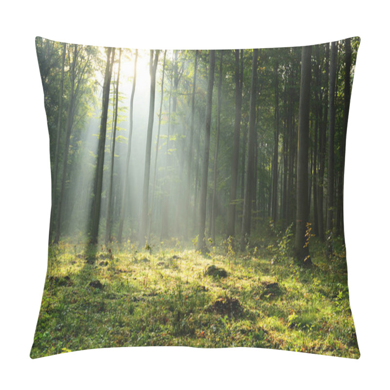 Personality  Beautiful Morning Sunbeams In Misty Forest Pillow Covers