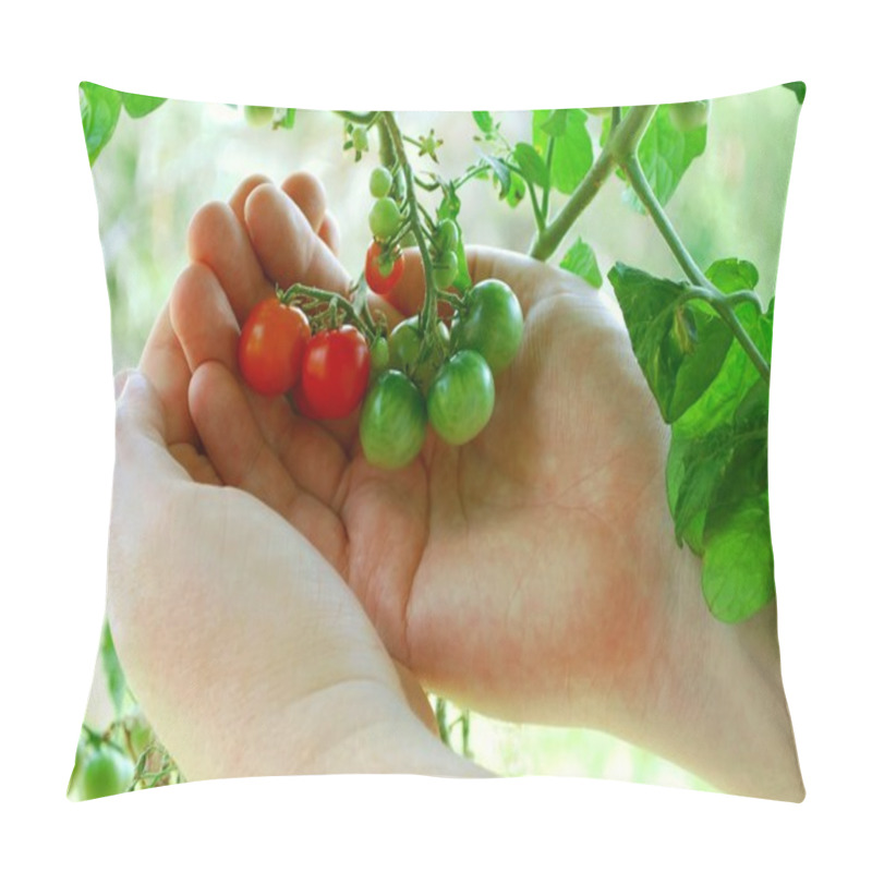 Personality  Tiny Tomatoes Turning Orange Pillow Covers