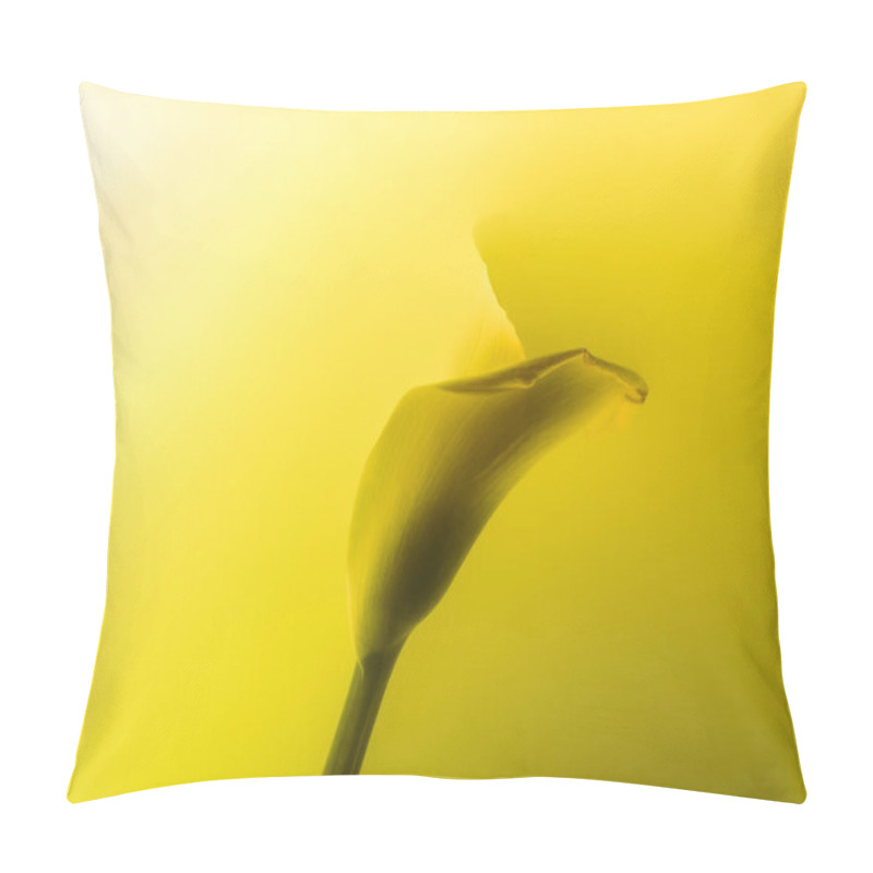 Personality  Close-up View Of Beautiful Calla Lily Flower In Abstract Yellow Paint Pillow Covers