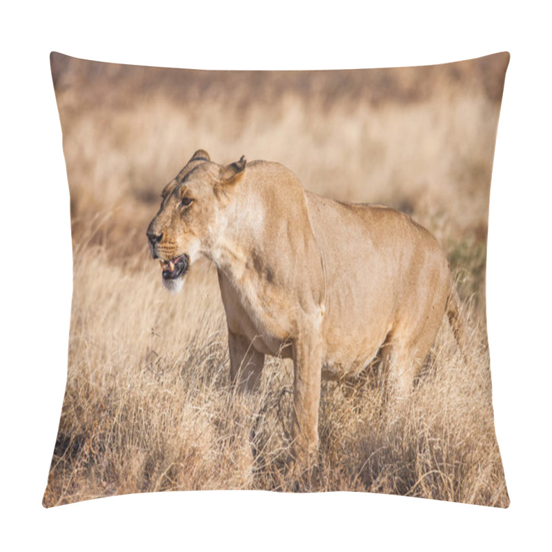 Personality  Lioness Approach, Walking Straight Towards The Camera Pillow Covers