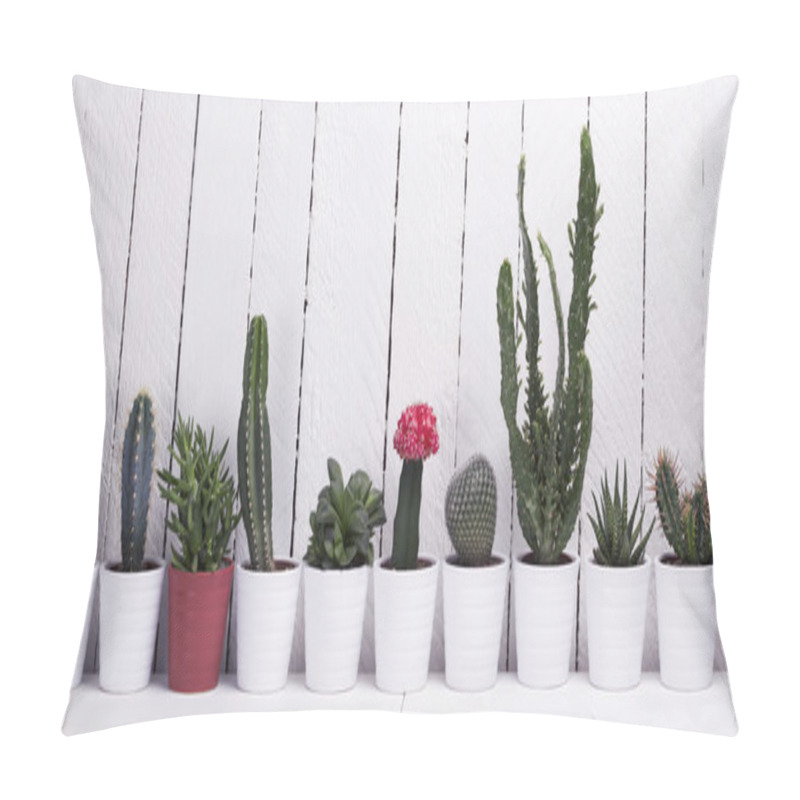 Personality  Cactus фтв Aloe Collection Pillow Covers