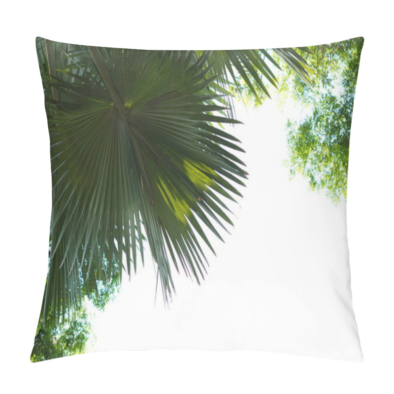 Personality  Background Of A Tree With A Large Trunk And Branches With Wide Light Green Leaves Pillow Covers