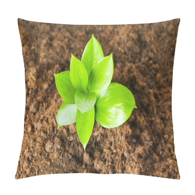 Personality  New Life Concept - Green Seedling Pillow Covers