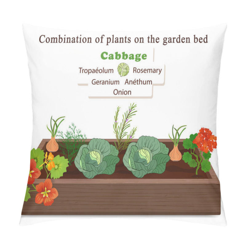 Personality  Growing Vegetables And Plants On One Bed. Cabbage, Onion, Flowers Of Geranium And Nasturtium Pillow Covers