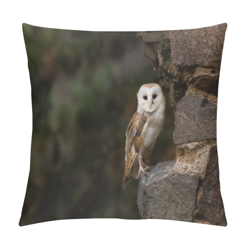 Personality  A Barn Owl In Old Castle Ruins. Pillow Covers