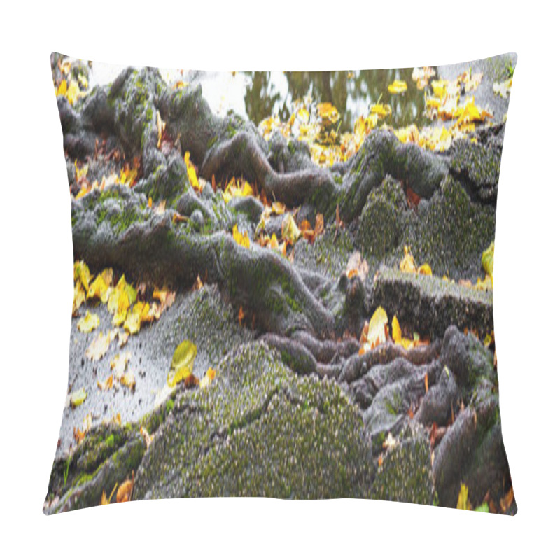 Personality  Close-up Of Tree Roots Covered With Moss Penetrating Deep Cracks And Jagged Fractures In Broken Asphalt. Yellow Autumn Leaves Scattered Across The Uneven Surface. Side View Pillow Covers