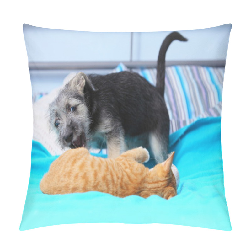 Personality  Animals At Home Dog And Cat Playing Together On Bed Pillow Covers