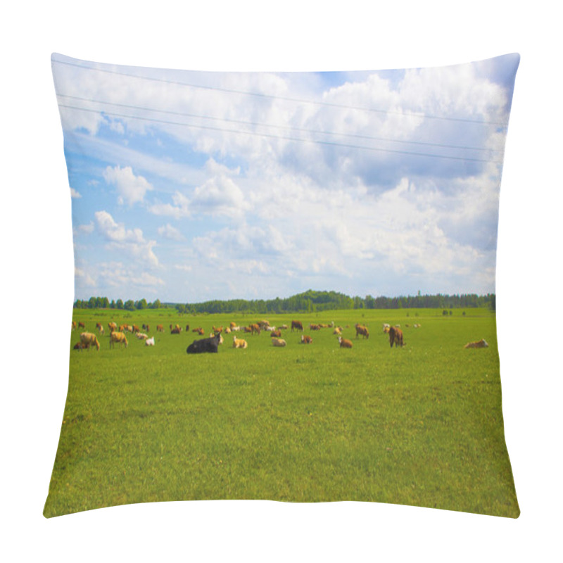 Personality  Herd Of Cows On Beautiful Rural Animal Farm Grazing On Green Grass Meadow.  Pillow Covers