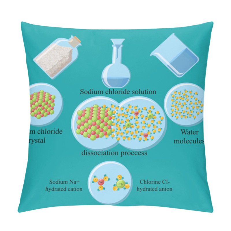 Personality  The Process Of Dissociation Of Table Salt, Sodium Chloride, In Water. Pillow Covers