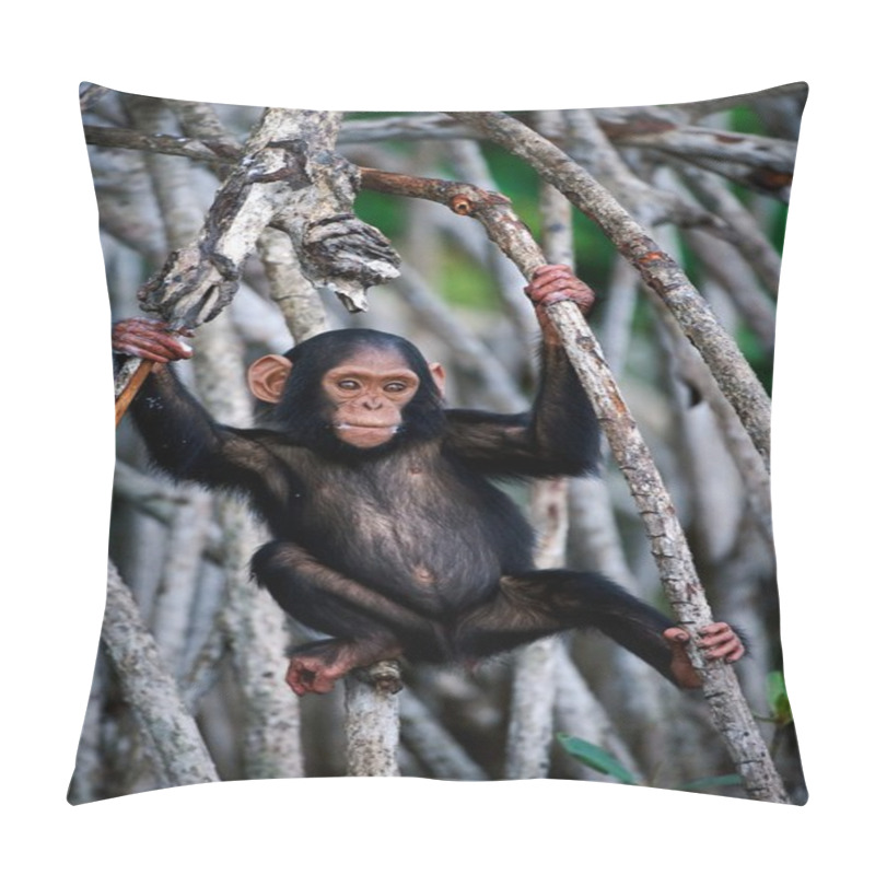 Personality  The Kid Of A Chimpanzee. Pillow Covers